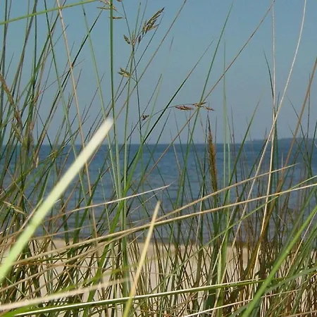 酒店 斯特拉多斯别墅酒店