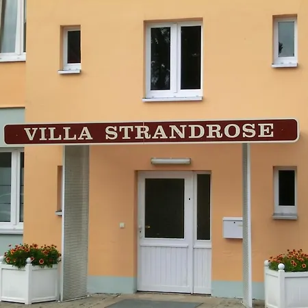 Strandrose
