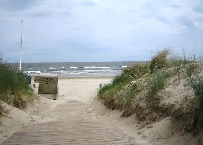 Strandrose Херингсдорф